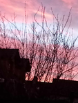KOFOLA_