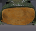 The _frog_army