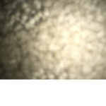 666Gsshsgsgsg