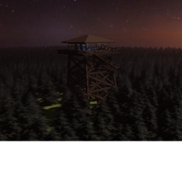 The forest