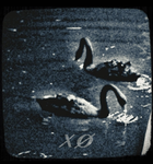 xø'
