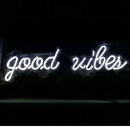 ~☆ Vibe Camp!☆ ~