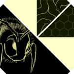 Hivemind Collective