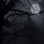 seven moons