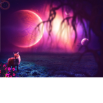 other cool galaxy fox group ##