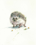 Porcupine Corp.
