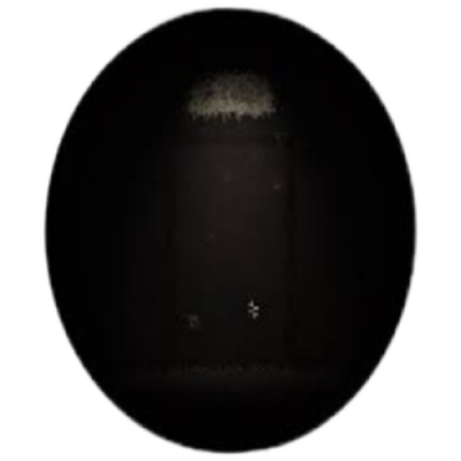 Roblox Doors: Detour Roblox decal