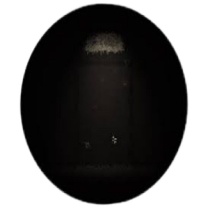 Roblox Doors: Detour Roblox decal