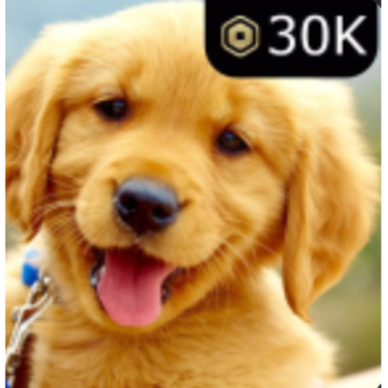 like this game want his be 2nd like game in roblox