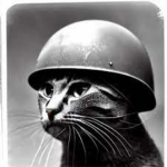 Cat and rat Peace