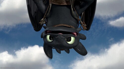 how to train your dragon  
