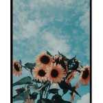Aesthetic roblox 11