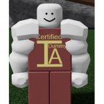 certified dummies