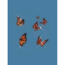 •*• ʙᴜᴛᴛᴇʀғʟʏ ʜᴀɴɢᴏᴜᴛ •*•
