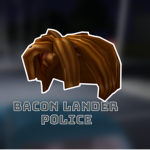 Bacon Lander Police