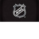 NHL official League
