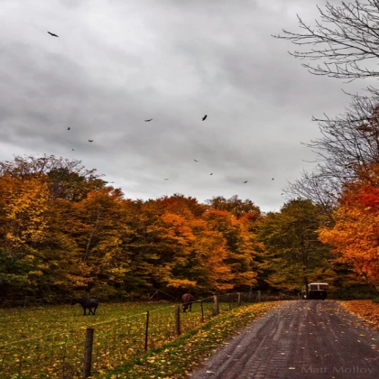 fall road scenery