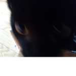 People that play ragdoll testing