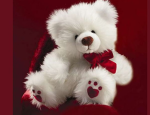 .Mia's bears.