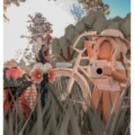 Aesthetic_roro