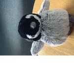 Buddy the penguin