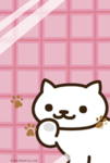 Cute and fluffy kittens