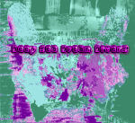 Deep Sea Dream Divers