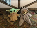 The muffin and YODA
