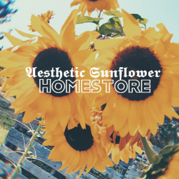 Sunflower Homestore