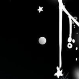 ✧