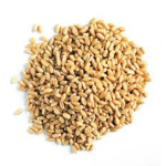 Grainz