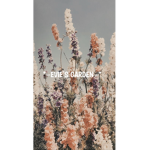-*Evie’s garden-*