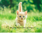 Official Fan club of all Kitty’s and Kitten’s