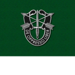 United States Green-Berets