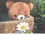 Latte bear official group