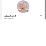 The cats are nice fan club