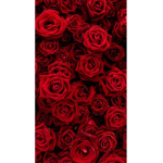~############# Group~