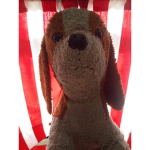 DanandDogs group