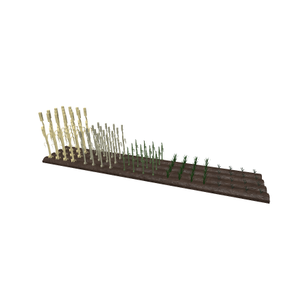 Farm Wheat