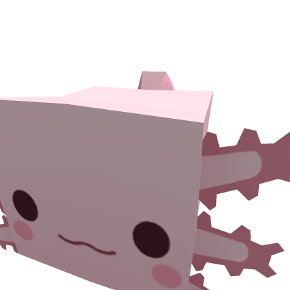 petclass