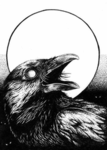 Crow乌