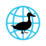 [ES] The Duck Corporation