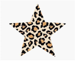 Leopard star