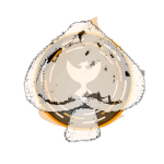 PL | Spades