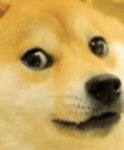 join if your a doge fan