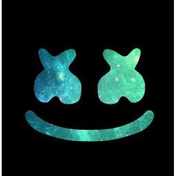 marshmello concert