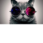 cats religion