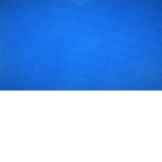 blue power blue berry