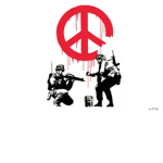 US Peace Army