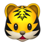 Little_tiger group